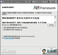  Microsoft .NET Framework 3.5 SP1 ԰