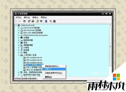 win8ô죬5
