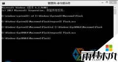ľ紿win8ϵͳ޷flash