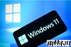 Win11ϵͳǲְ֧׿App ֻܵȴ