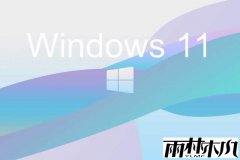 ľϵͳwin11ʽԾ