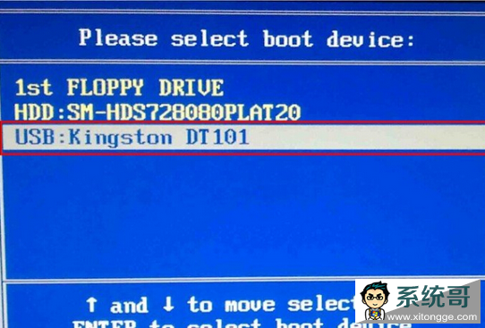 ѡ
