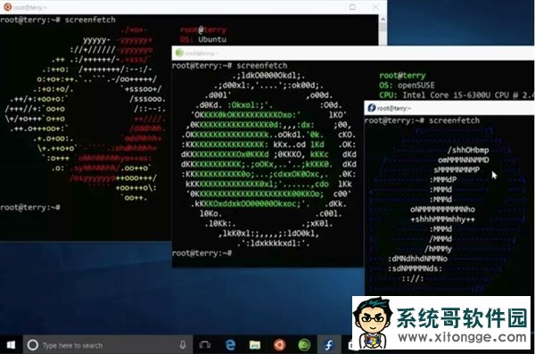 ΢УLinuxϵͳ½Windows 10ֱӰװ