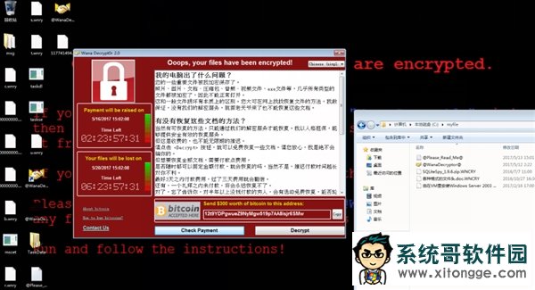 救命必看!Windows勒索病毒最全攻略、补丁下载