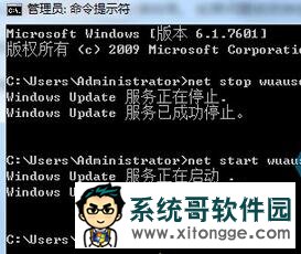 输入“命令提示符”