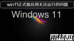 ľwin11ʽӦ޷е