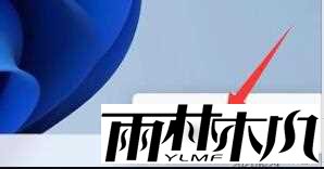Win11电脑有网络却上不了网怎么办?Win11无法上网的解决方法