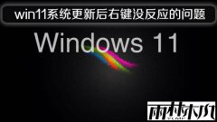 ľwin11 24h2ϵͳºҼûӦ