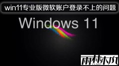 ľwin11רҵ΢˻¼ϵ