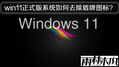 ľwin11ʽϵͳȥͼꣿ