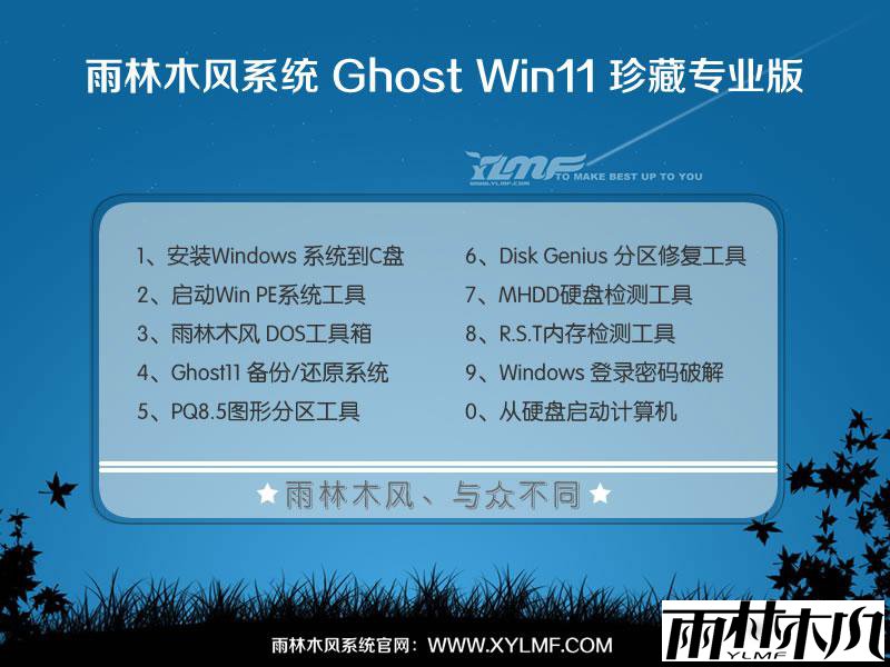 win11