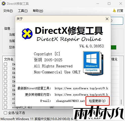 DirectX޸