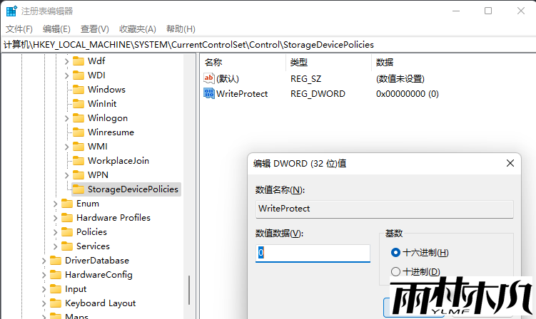 Win11磁盘被写保护怎么解除?