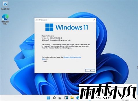 Win11重置失败怎么办?Win11重置失败解决方法
